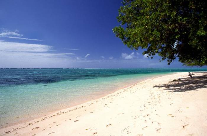 sands on beach