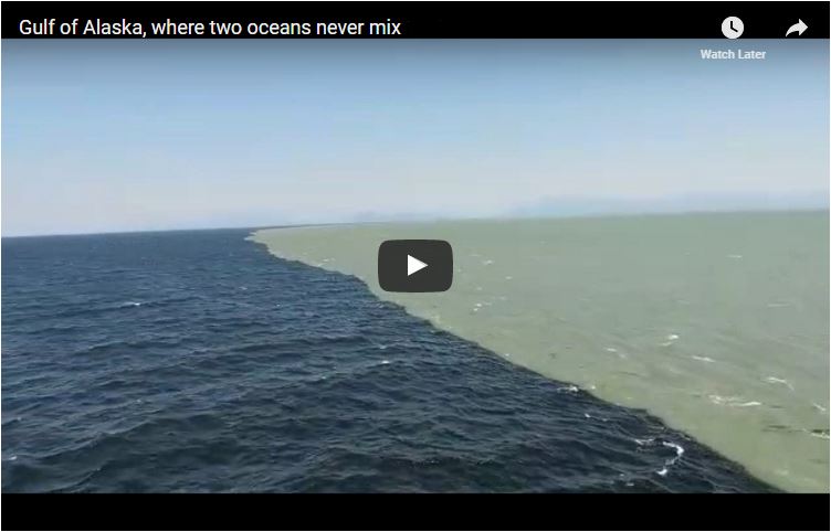 Gulf of Alaska Where Two Oceans Meet But Never Mix | World Famous Things