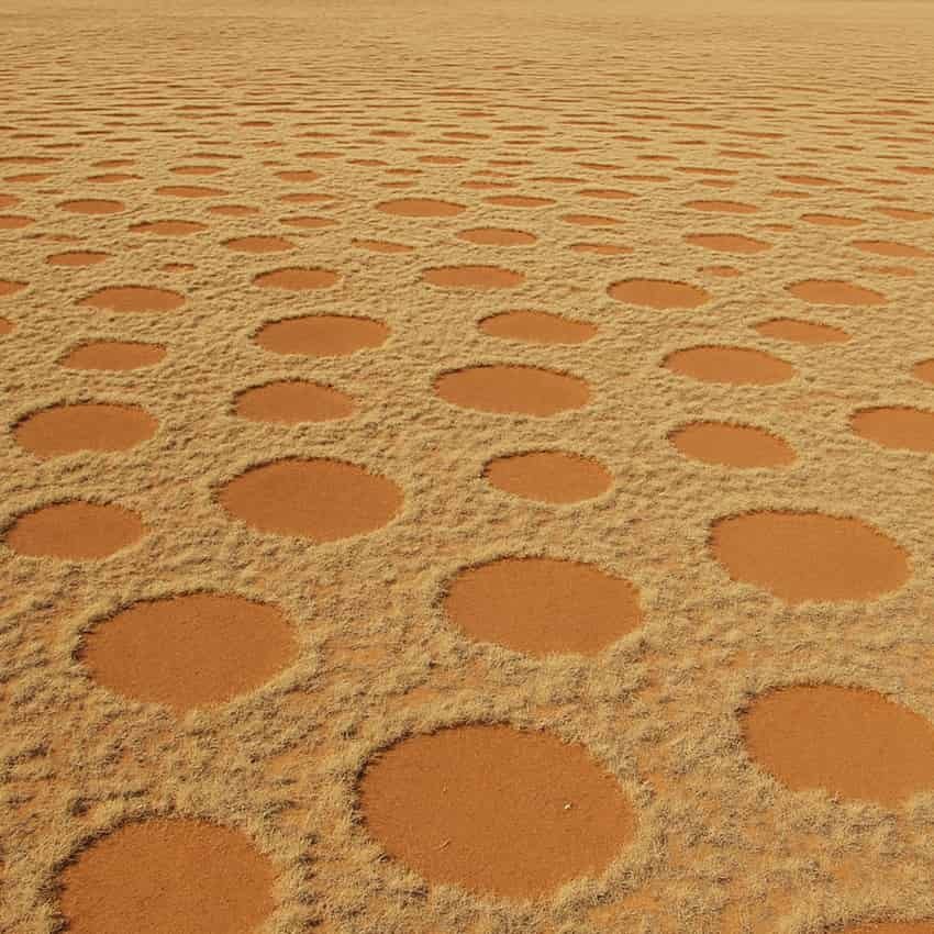 Fairy Circles, Namibia (AI Image)