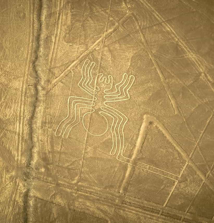 Nazca Lines Spider Geoglyph in Peru