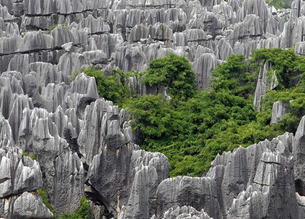 The Stone Forest, China