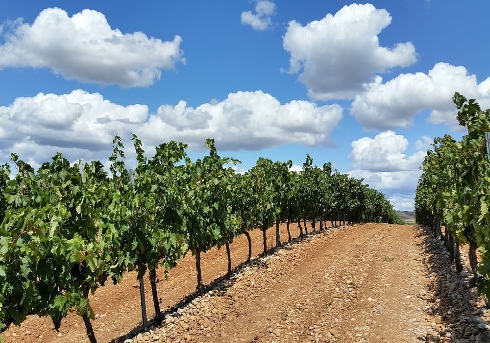 la rioja in northern Spain