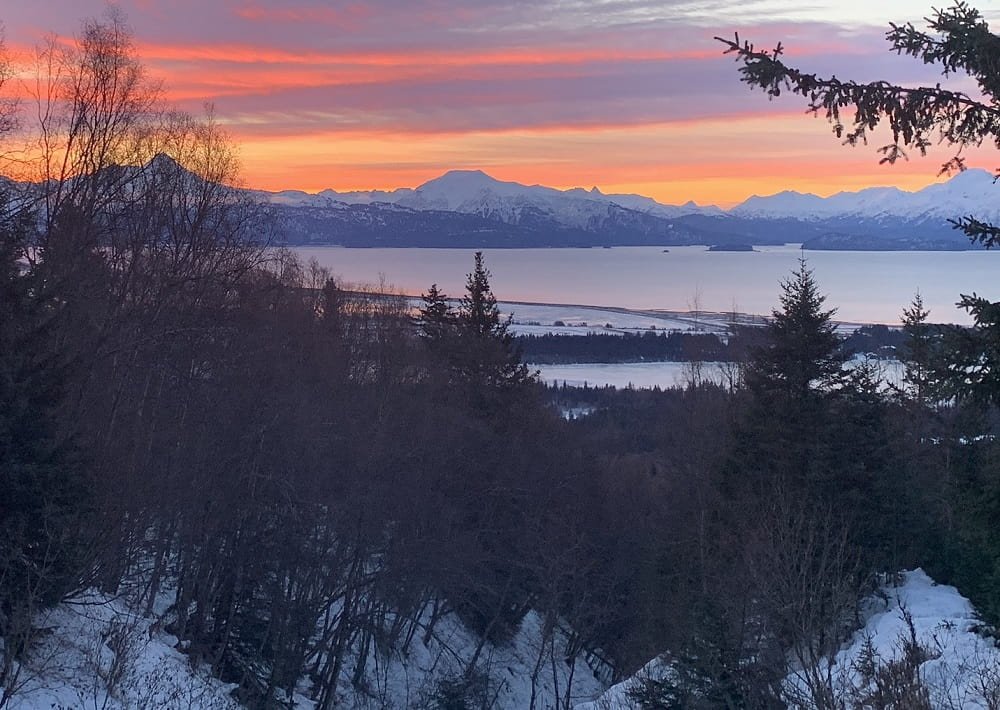 Beautiful View of Homer in Alaska