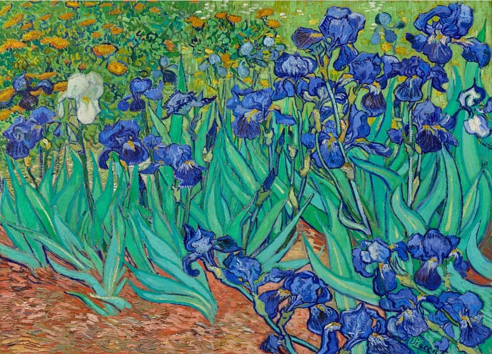 Irises painting created by Vincent Van Gogh