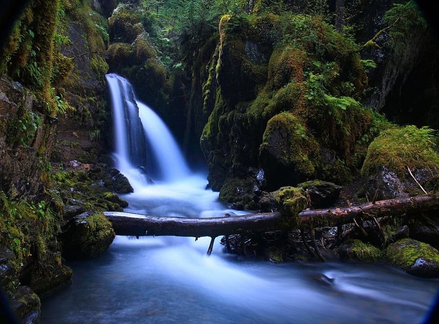 Virgin Creek Falls in Girdwood, Alaska