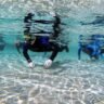 Snorkeling and Scuba DivingAlexander Spring, Florida