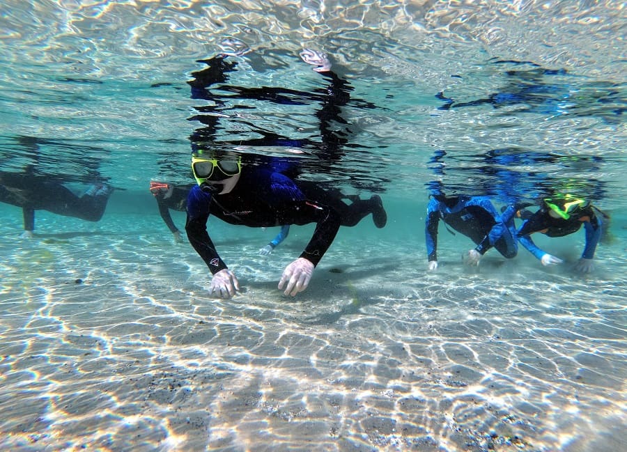Snorkeling and Scuba DivingAlexander Spring, Florida
