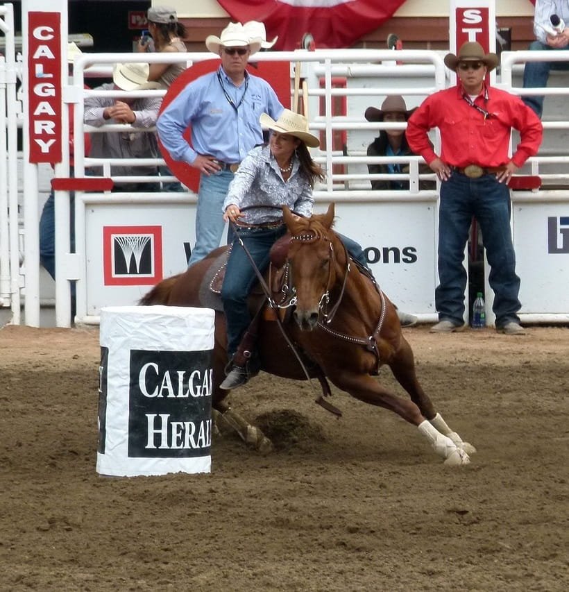 Cowgirl Riding Horse in Calgary Stampede