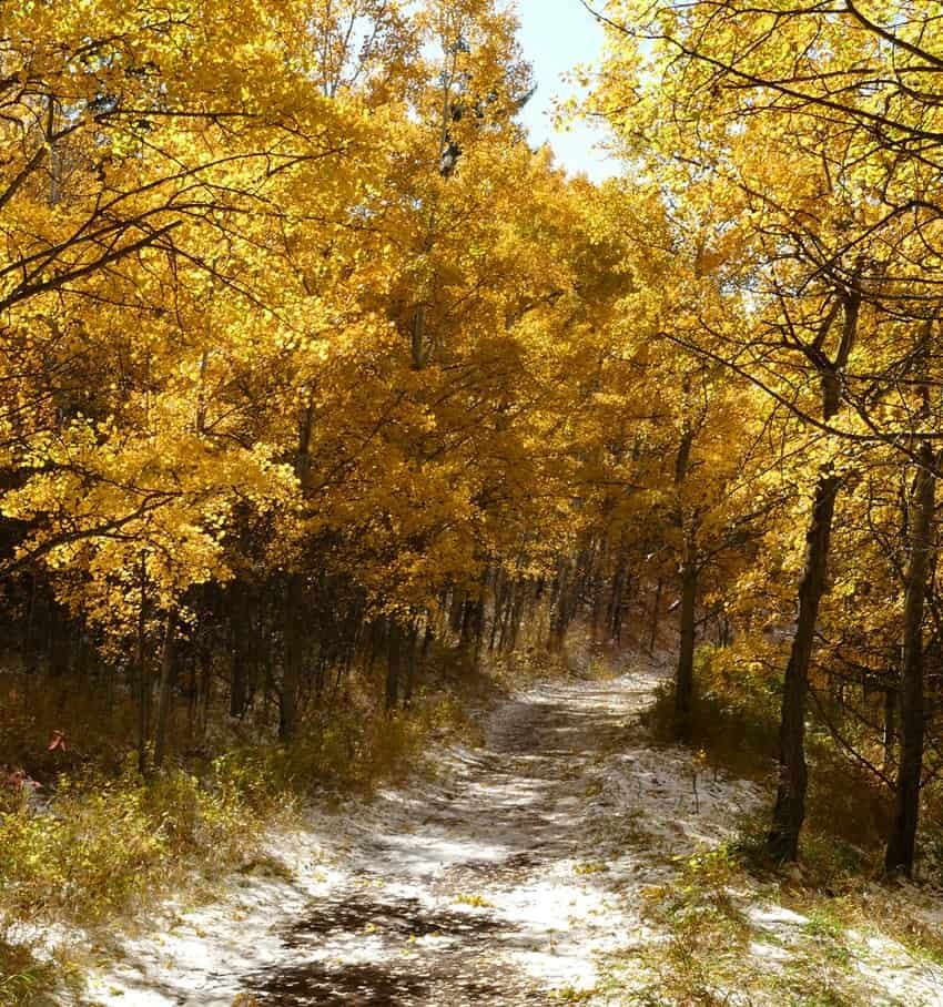 Fish Creek Provincial Park in Calgary
