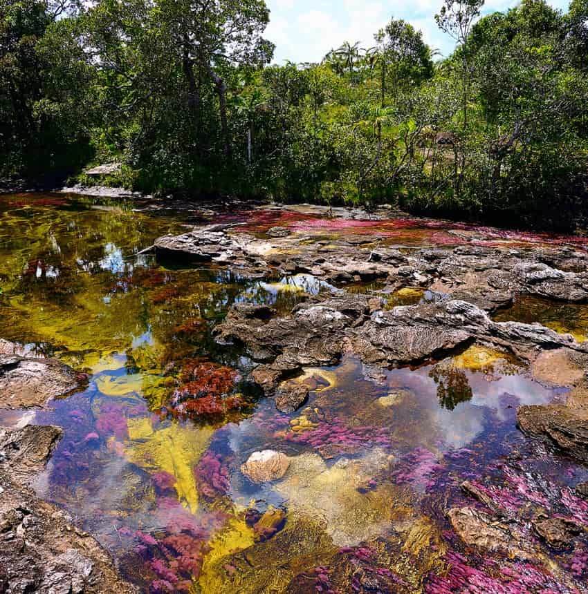Caño Cristales or Rainbow River, Colombia