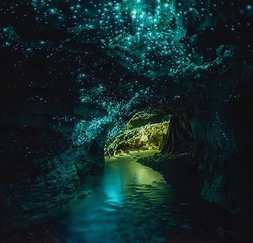 Waitomo Glowworm Caves, New Zealand
