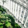 Sky Garden in London
