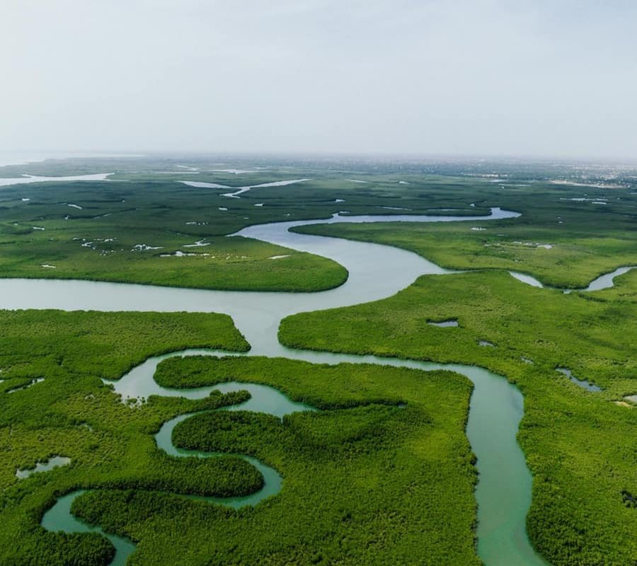The Amazon Rainforest, South America