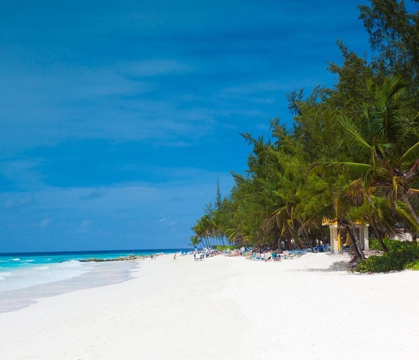 Beautiful Beach in Barbados, Caribbean