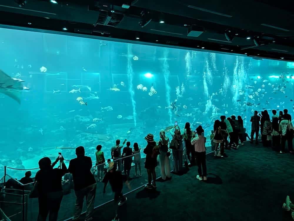 Singapore Oceanarium