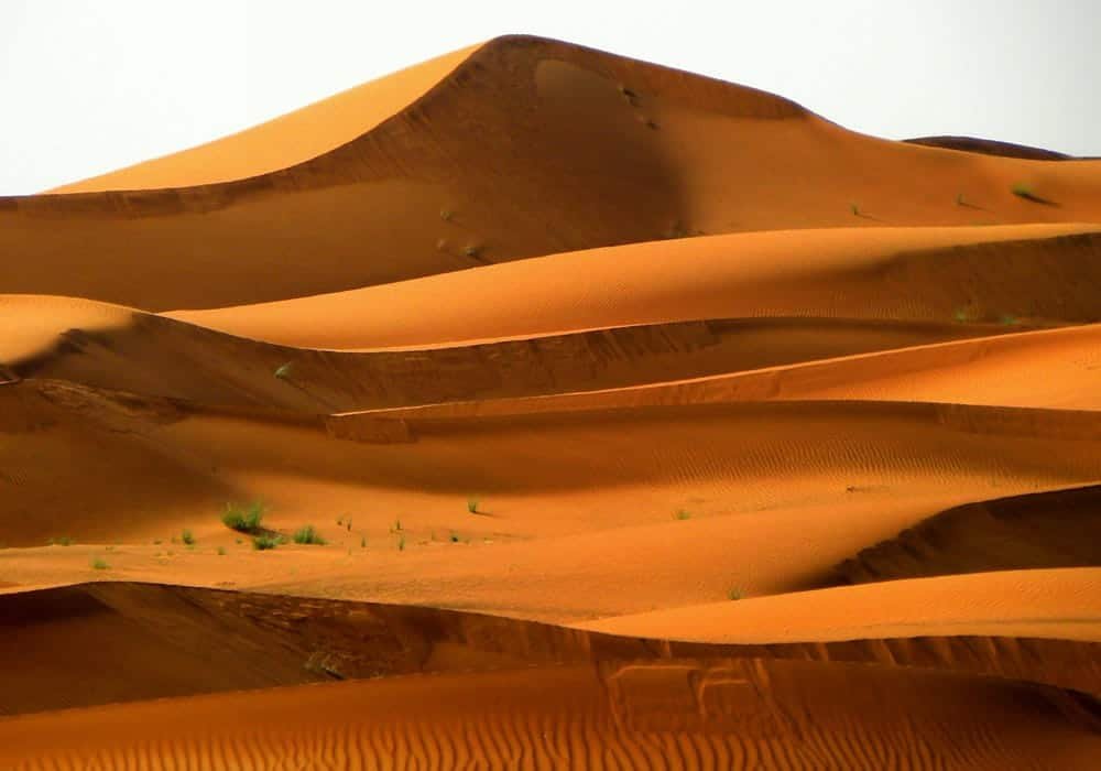 Arabian Desert Golden Sand Dunes with Wind-Shaped Patterns