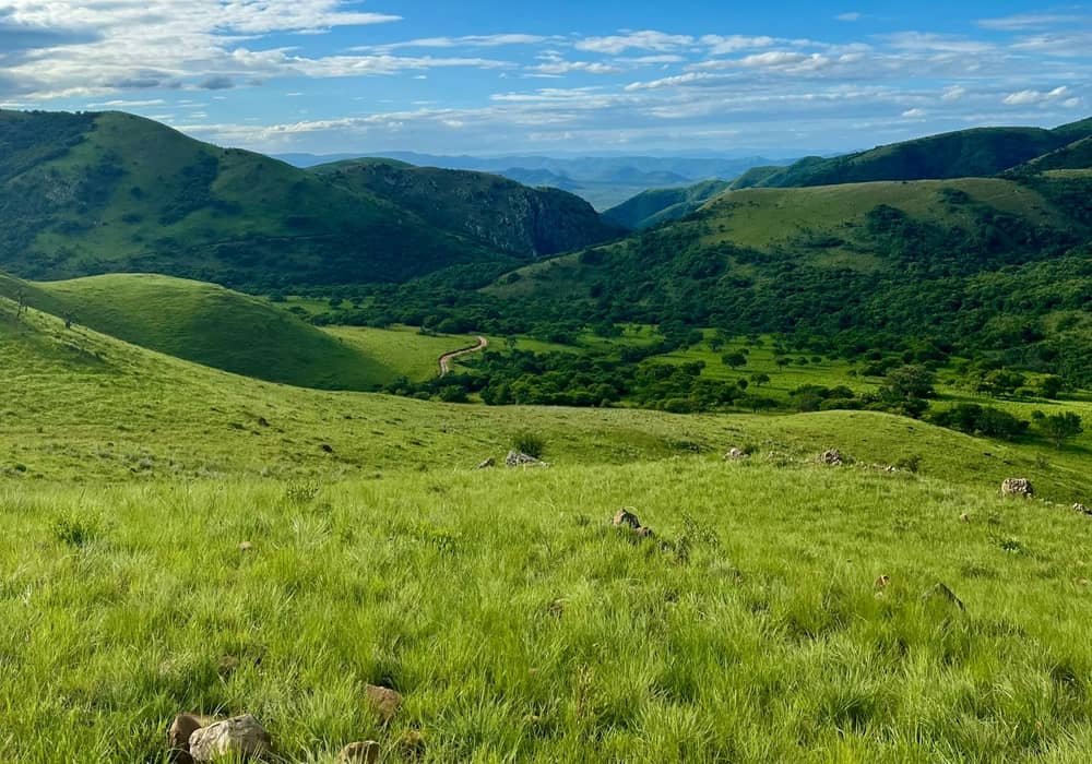 The Oldest Landscape - The Makhonjwa Mountains (Barberton Greenstone Belt)
